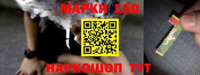 мяу мяу мука Абакан