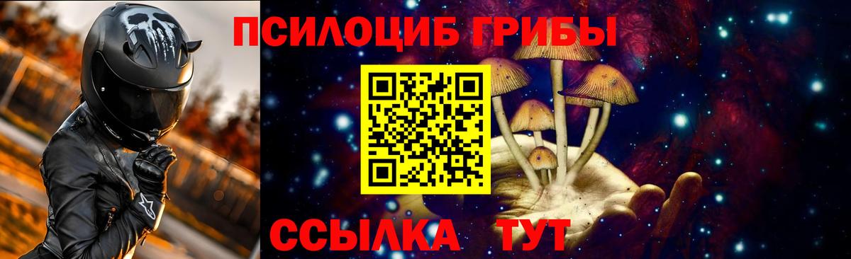 Галлюциногенные грибы MAGIC MUSHROOMS  Псилоцибиновые грибы Cubensis  Альметьевск  купить   Вход с VPN 